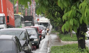 Árvores da avenida Ephigênio Salles serão manejadas para evitar atropelamento de periquitos