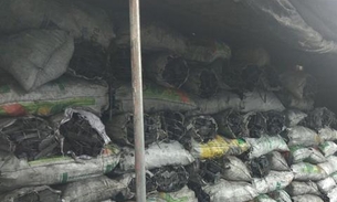Carga com mais de 3 toneladas de carvão ilegal é apreendida em Manaus
