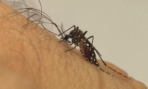 Mais de 500 cidades têm risco de surto de doenças causadas pelo Aedes