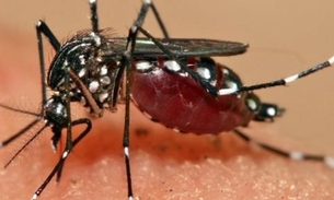 Amazonas tem redução de 68% nos casos de chikungunya