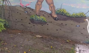 Desenho de lenda amazônica com pênis gigante 'aparece' em praça e causa polêmica