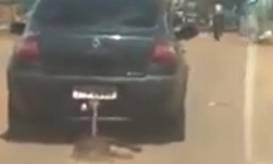 Vídeo chocante mostra cachorro sendo arrastado por carro e viraliza na internet