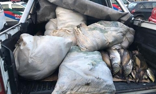 Meia tonelada de pescado ilegal é apreendida e doada para instituição de caridade