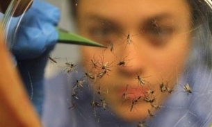 FVS alerta para casos de dengue, chikungunya e zika em tempos de chuvas no Amazonas