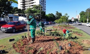 Jardins nos canteiros de avenida são ampliados em Manaus