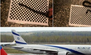 Homem enfia cobra na calça e tenta entrar em avião, mas se dá mal