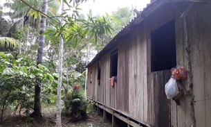 9 casos de ataque de morcego são registrados em comunidade rural de Manaus