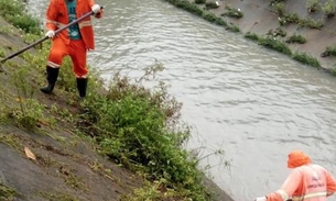 Mutirão de limpeza retira mais de 8 mil toneladas de lixo em igarapés de Manaus