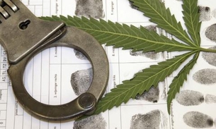 Comissão da Câmara aprova a descriminalização das drogas 