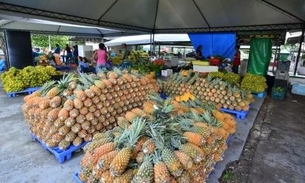 Amazonas é o segundo maior produtor de abacaxi da região norte