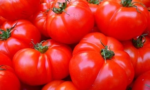 Conheça 10 benefícios do tomate para saúde