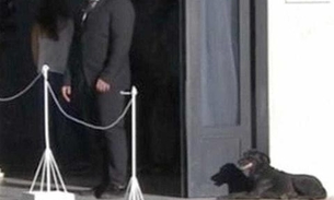 Imagem da cadela de Emiliano Sala na porta do velório emociona internautas