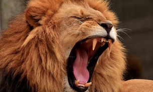 Receita alerta para e-mail falso sobre malha fiscal do Imposto de Renda 