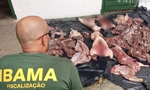 Ibama apreende mais de 18 toneladas de carne e pescado ilegal no Amazonas