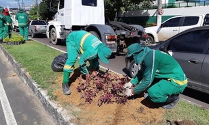 Canteiro central de avenida ganha mais jardins em Manaus 
