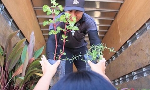 Com distribuição de mudas, ‘Pedágio Ambiental’ contempla a zona Norte em abril