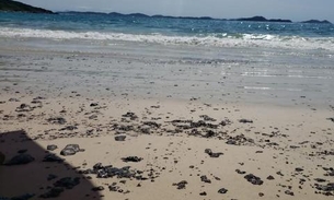 Óleo que vazou em praias turísticas da Região dos Lagos no Rio é da Petrobras