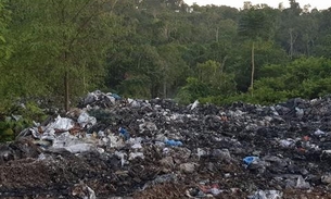 Lixão hospitalar clandestino é encontrado em área verde de Manaus