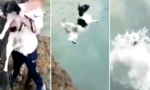 Menino grava vídeo arremessando cachorro de penhasco 