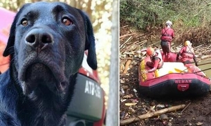Corpo de cão que ajudou no resgate de vítimas de Brumadinho será cremado nesta segunda 