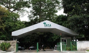 Inpa faz ofertas de tecnologias para exploração comercial