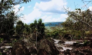 Senador questiona aplicação dos  recursos do Fundo Amazônia