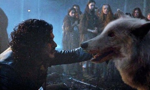 'Game of Thrones' faz aumentar abandono de cães semelhantes a lobos