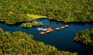 Instituto Mamirauá tem homenagem no Senado na segunda-feira