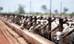 Ministério da Agricultura suspende exportação de carne bovina para a China