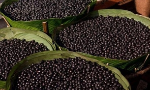 MP pede a suspensão da venda de açaí após surto de doença de Chagas no Amazonas