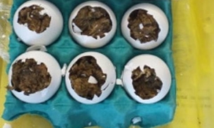 Mulher é flagrada tentando entrar em presídio com maconha escondida em ovos