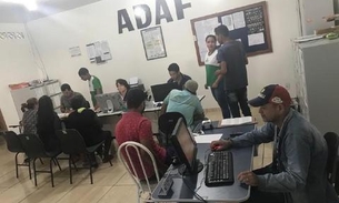 Produtores devem notificar vacinação do rebanho contra febre aftosa no Amazonas