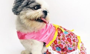 Arraial em shopping de Manaus terá concurso de fantasia ‘caipira’ para crianças e pets