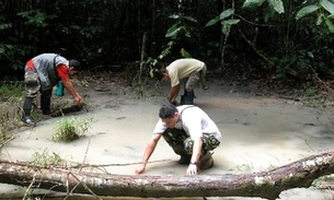 Em Manaus, Ufam lança livro de divulgação sobre girinos da Amazônia
