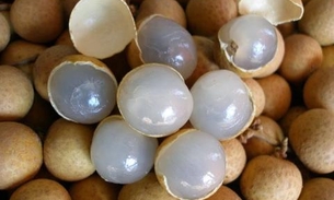 Pitomba é rica em vitamina C e previne o envelhecimento da pele. Saiba mais