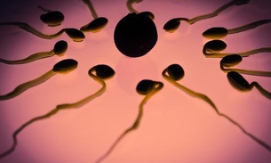 Esperma congelado pode sobreviver no espaço, diz pesquisa 