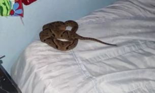 Garoto de 10 anos é picado por cobra enquanto dormia