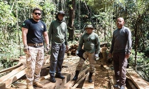 Operação flagra desmatamento e extração ilegal de madeira em reserva de Manaus 