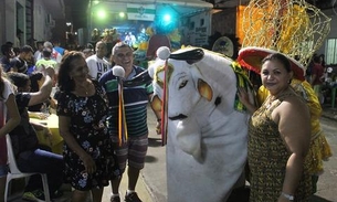 Sete festivais folclóricos agitam bairros de Manaus neste fim de semana