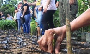 Minicurso ensina noções básicas de paisagismo e jardinagem em Manaus