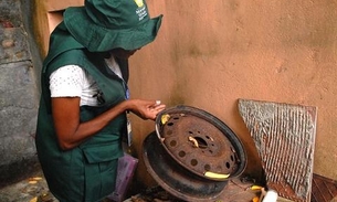 Ações da prefeitura resultam na redução de casos de dengue, zika e chikungunya em Manaus