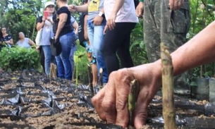 Minicurso ensina noções básicas de paisagismo e jardinagem em Manaus