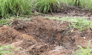 Presa, dupla confessa que matou e decapitou homem que estava desaparecido no Amazonas