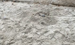 Corpo de mulher é encontrado por populares enterrado em praia de Maceió