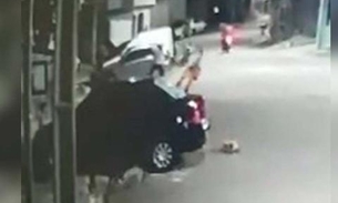 Vídeo mostra homem espancando cachorro a pauladas após animal urinar em pneu