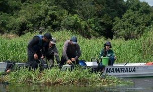 Exportação de pirarucu do Amazonas leva empresários a visitar Mamirauá