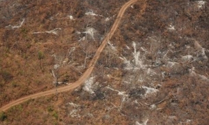 MPF pede explicações do Ipaam sobre desmatamento de 1200 hectares no Amazonas