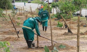 Manaus possui 33 mil novas árvores em crescimento reduzindo déficit de arborização 