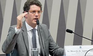 Solicitado por Braga, ministro Ricardo Salles vai ao Senado falar sobre gestão do Fundo Amazônia