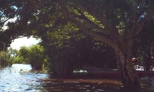 Laboratório para medir floresta é inaugurado pela Ufam nesta quinta